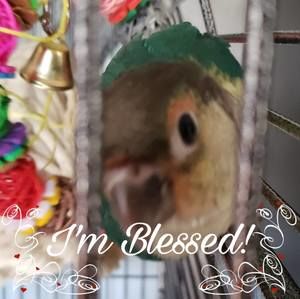 Meet your Posher, Alison